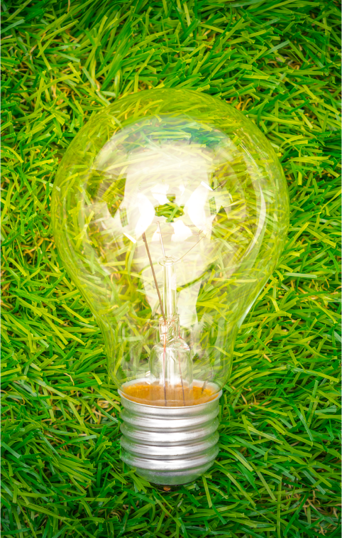 eco-concept-light-bulb-grow-grass