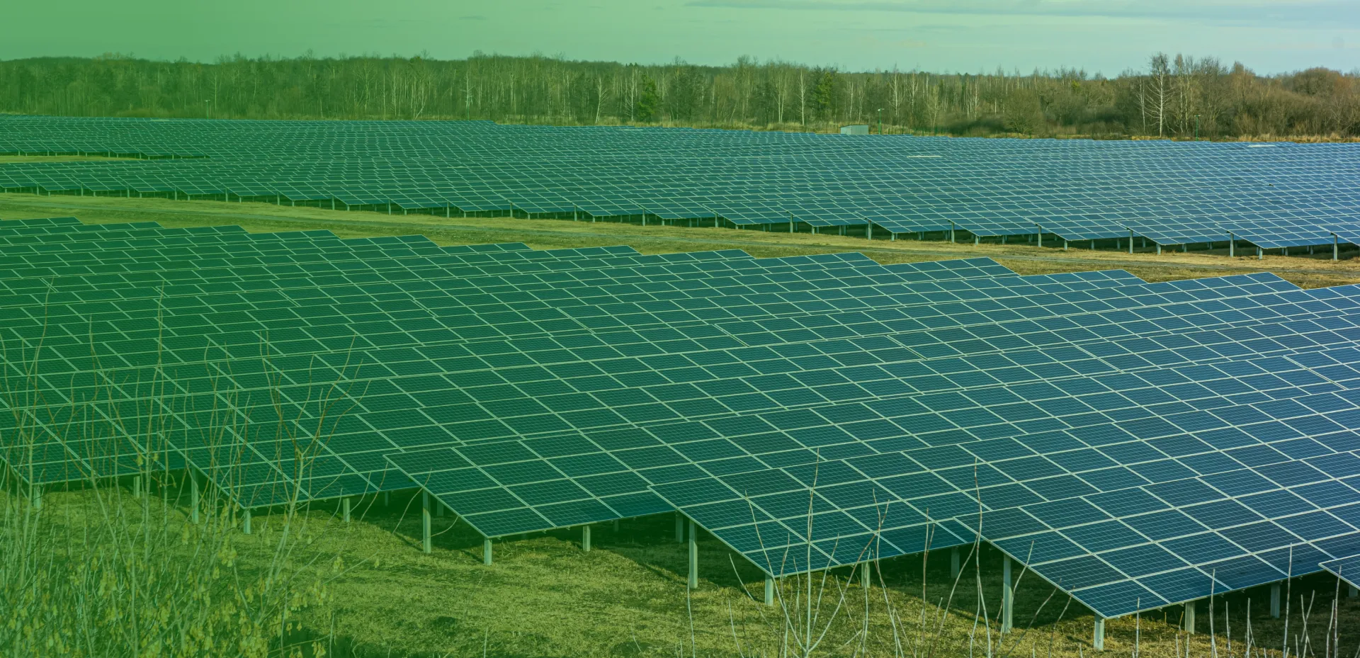 solor91